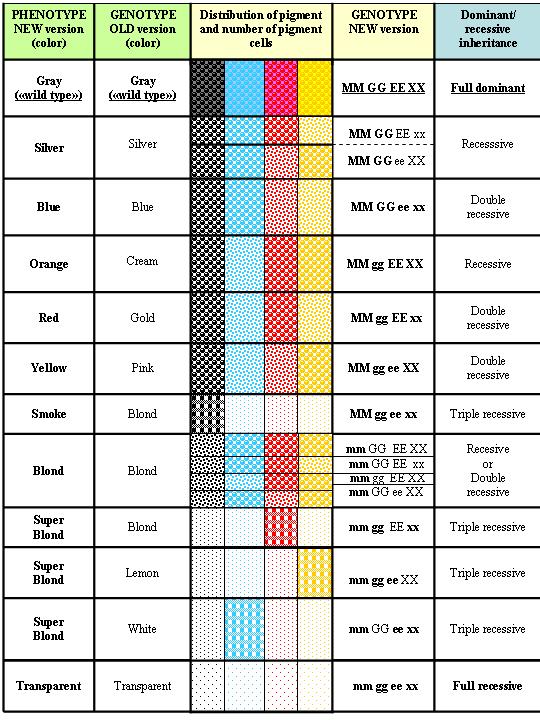 Guppy base body colors