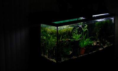 igors-fish-tank