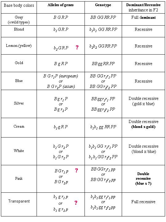 Guppy base body colors