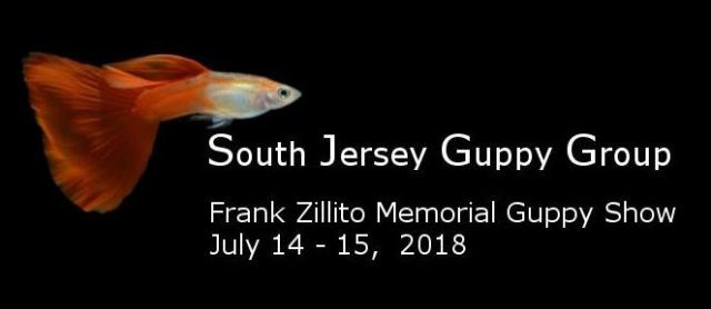 Frank Zillito Memorial Guppy Show