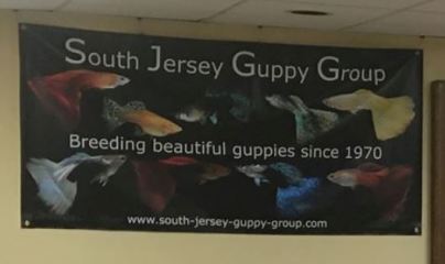 South Jersey Guppy Group
