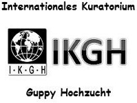 International Board of Guppy Highbreeding