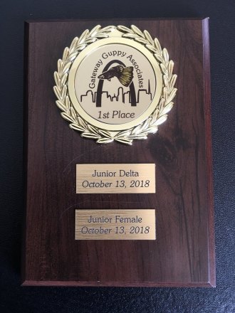 Prvo mijesto gupike Junior Nikola Dusanic