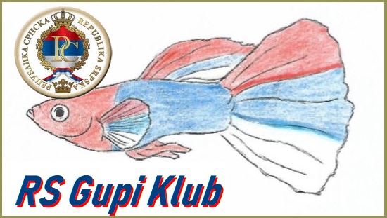 RS Gupi Klub logo 3
