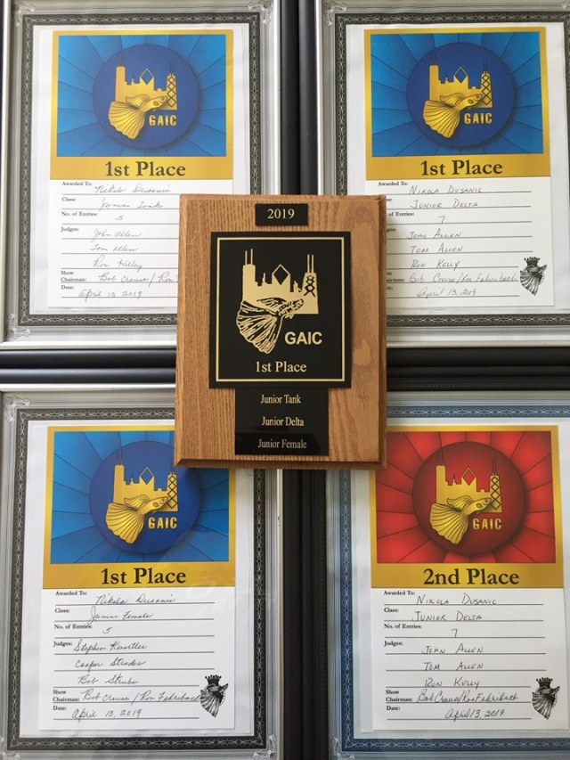 IFGA show at GAIC April 2019