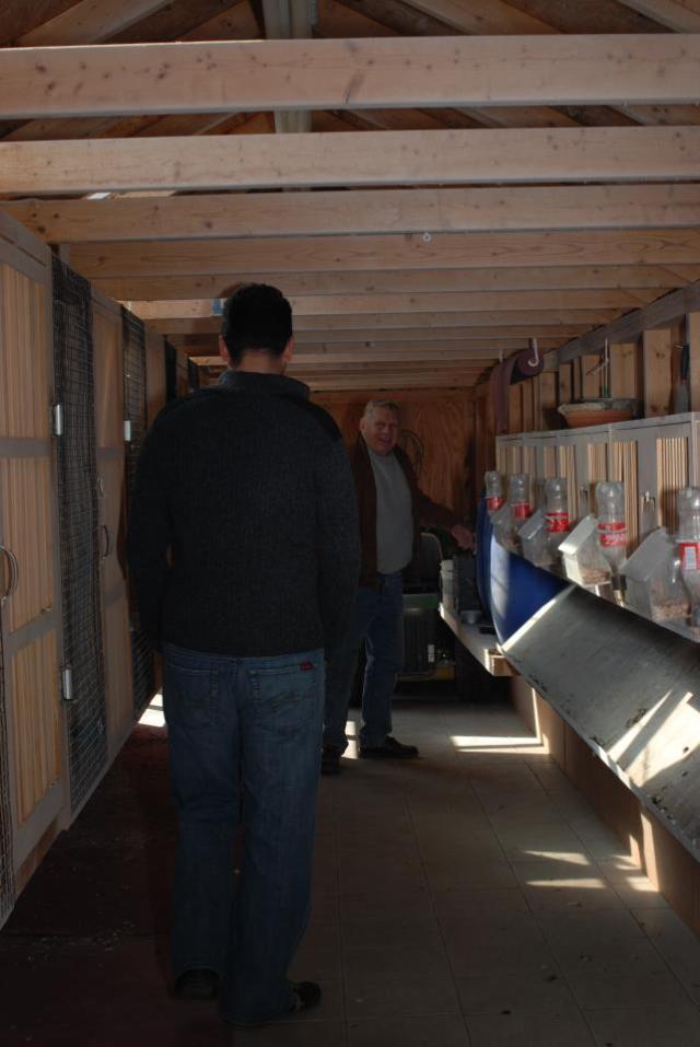 Tony also enjoyed his Birmingham roller pigeon's