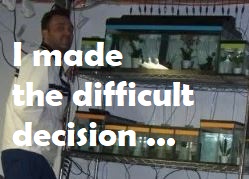 Igor's fish room guppy guppies