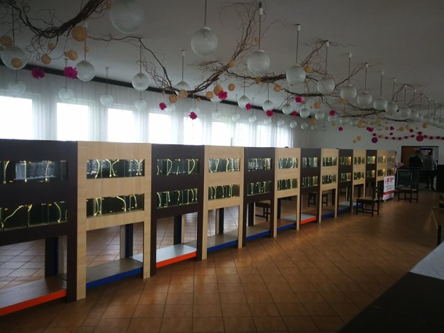 Fish tank shelf - shelves