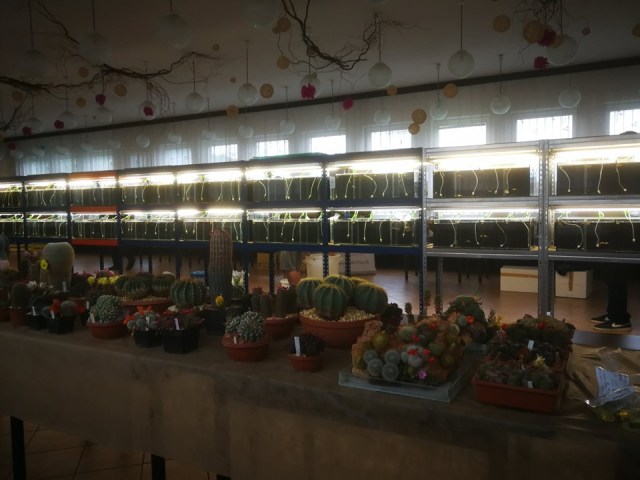 Fish tank shelf - shelves