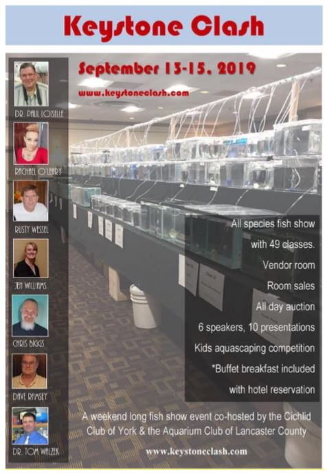 Keystone Clash all species fish show