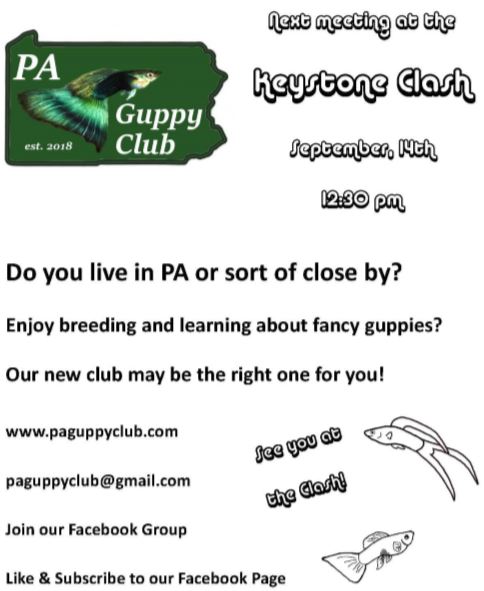 PA Guppy Club at Keystone Clash