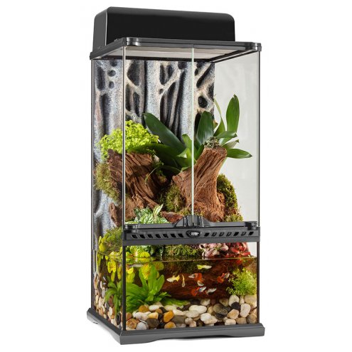 Paludarium