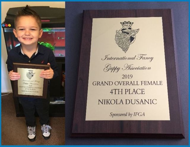 Nikola's IFGA award Grand Overall Female 4th Place