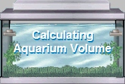 Calculating Aquarium Volume