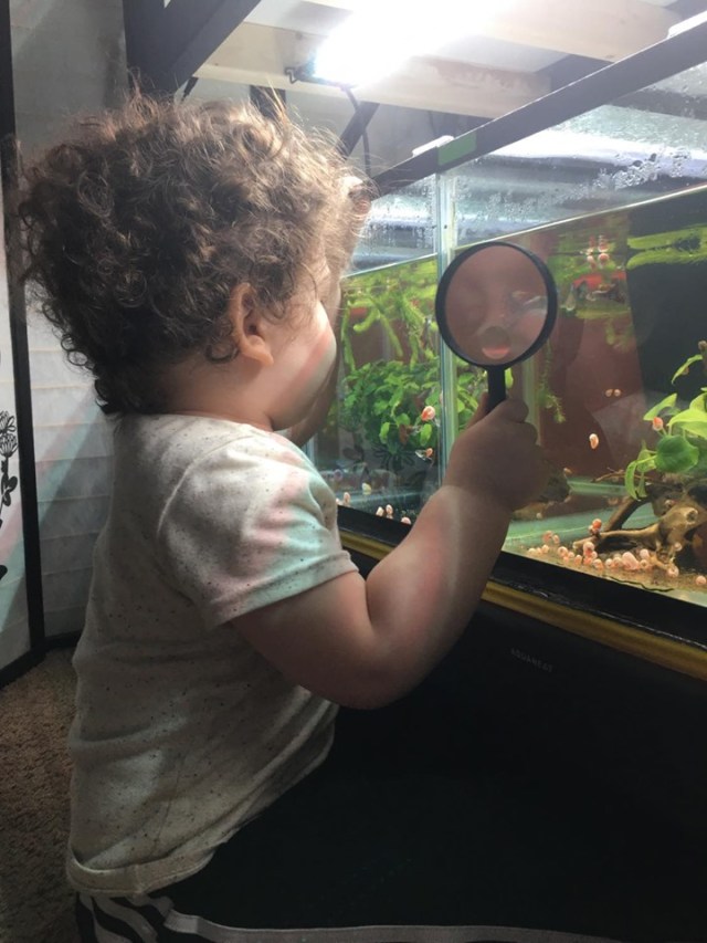 Jordan Dusanic youngest guppy researcher