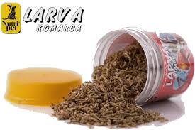 Larva Komaraca hrana za ribe gupike