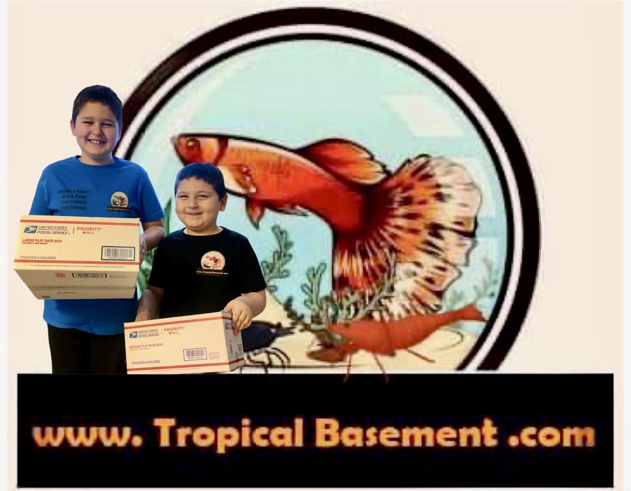 This image has an empty alt attribute; its file name is tb-logo-shipping.jpg